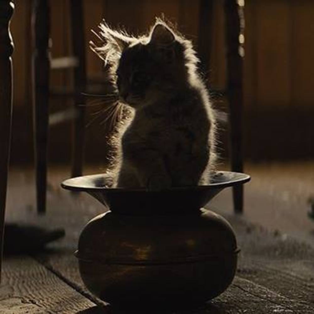 Meet your Posher, David